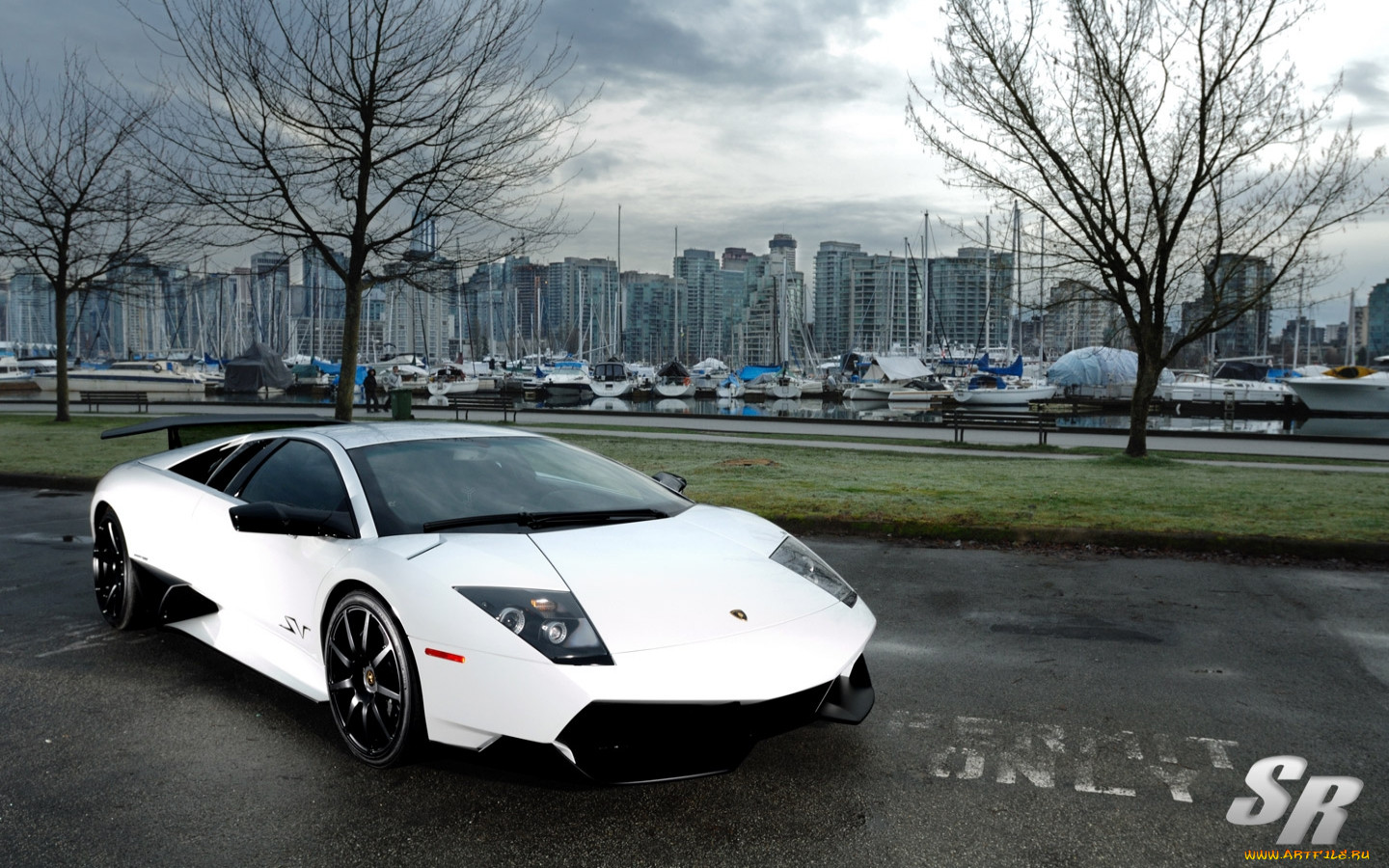 , lamborghini, murcielago